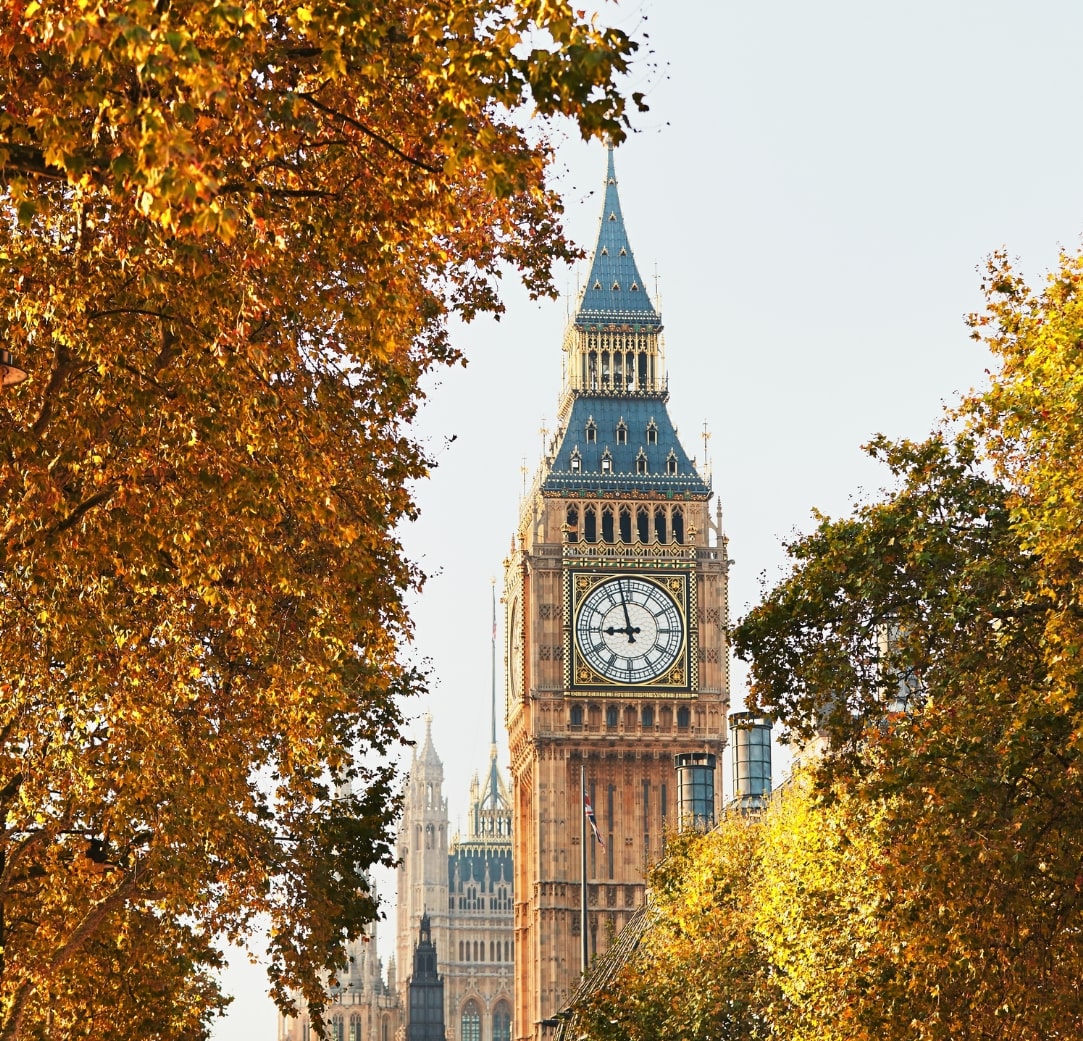 Cleaning Agency North London