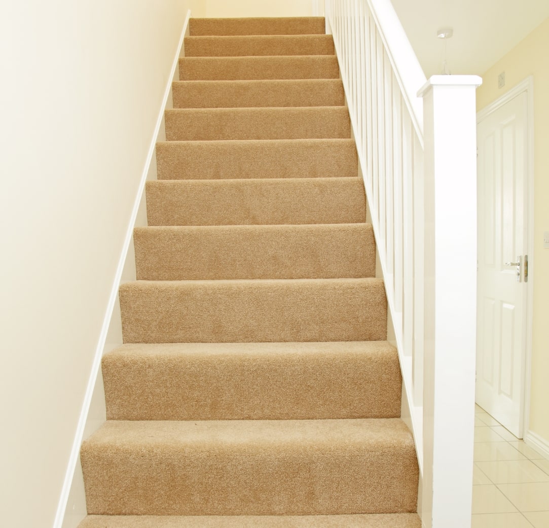 Carpet Cleaning Services