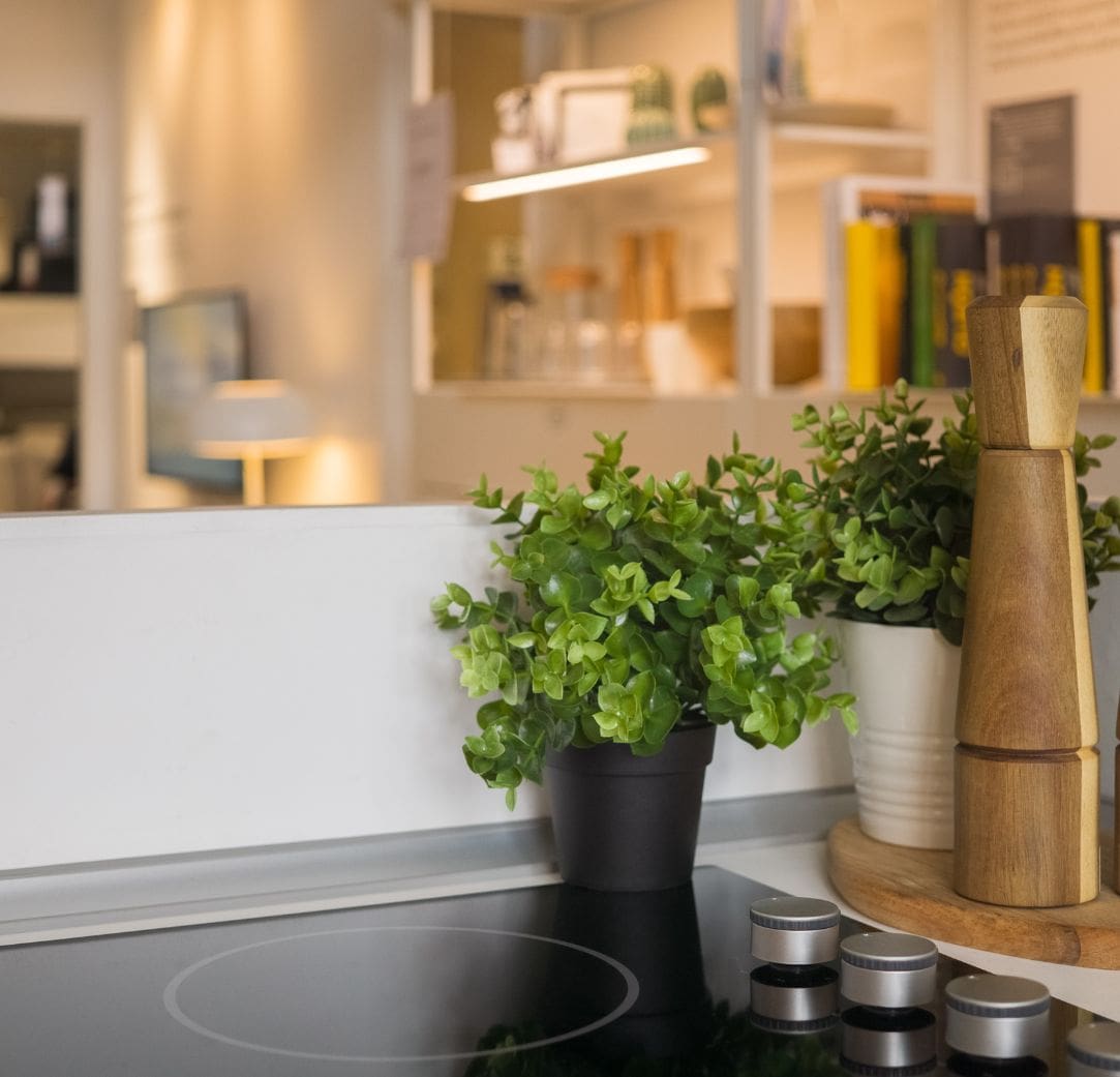 Domestic Cleaning Services (2)