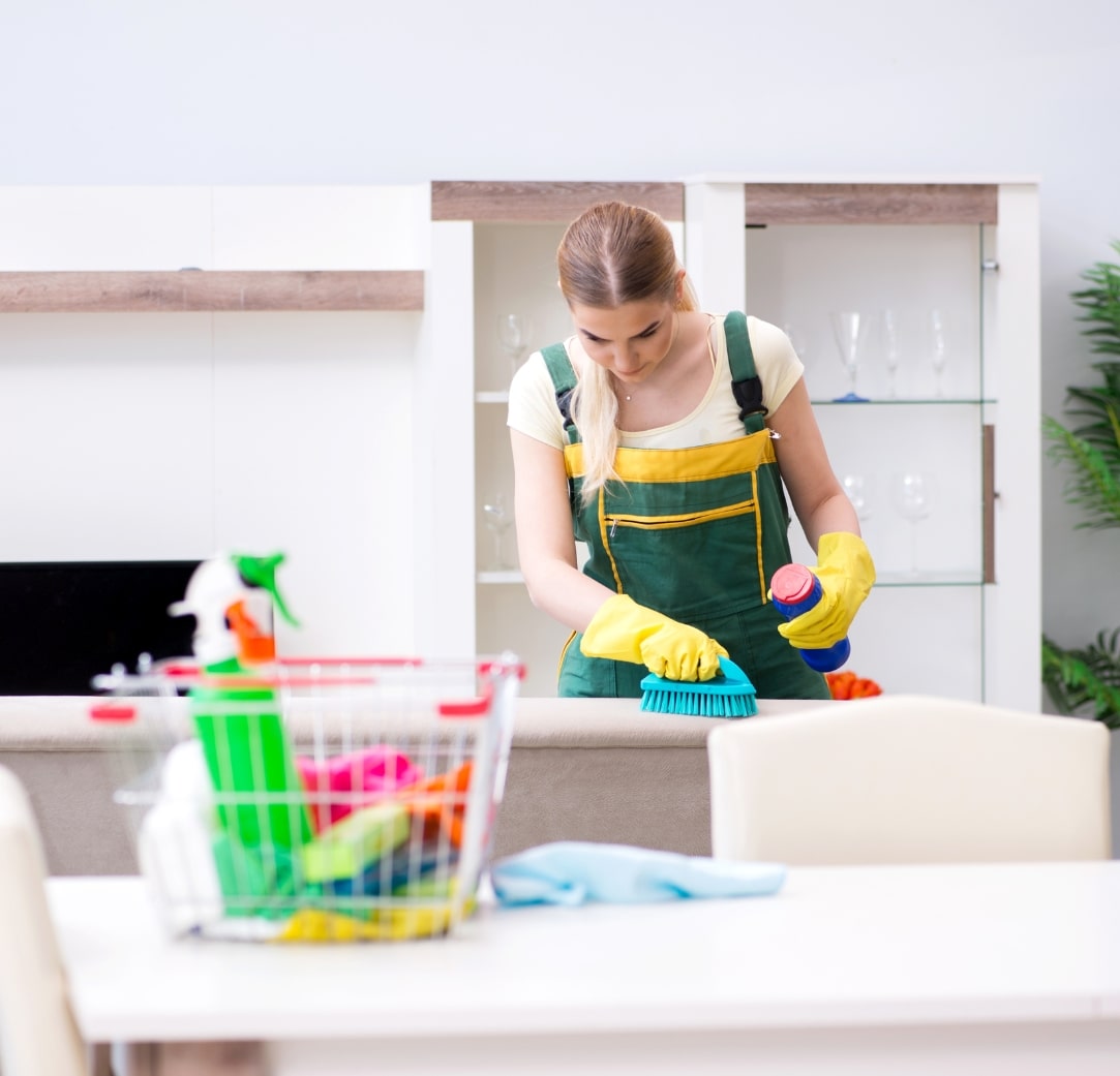 Domestic Cleaning