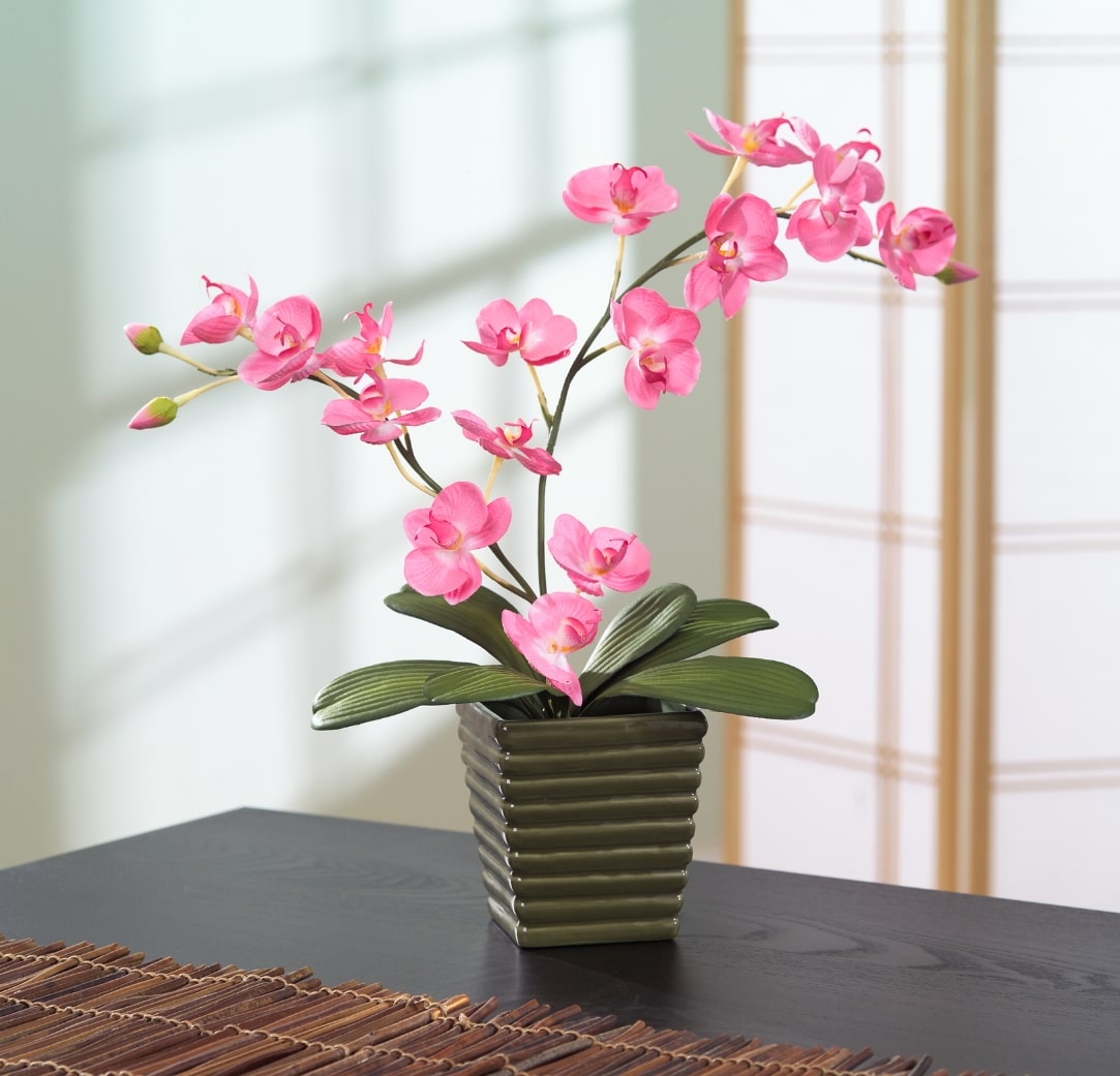 End Of Tenancy Cleaning (2)